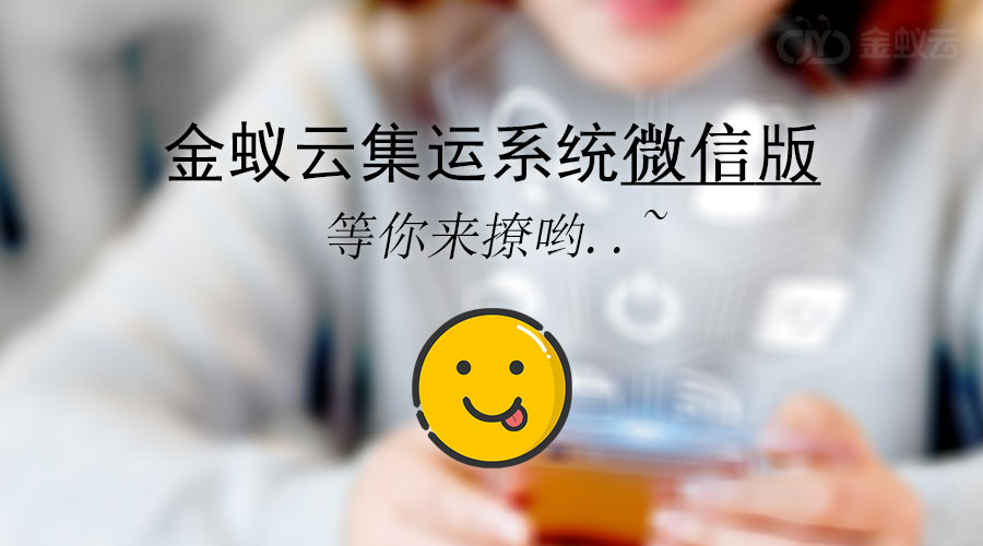 金蟻云集運(yùn)系統(tǒng)有微信功能嗎？