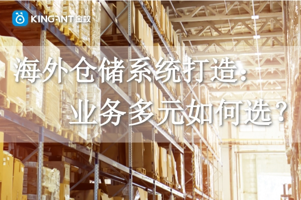 海外倉儲系統(tǒng)打造：業(yè)務(wù)多元如何選？