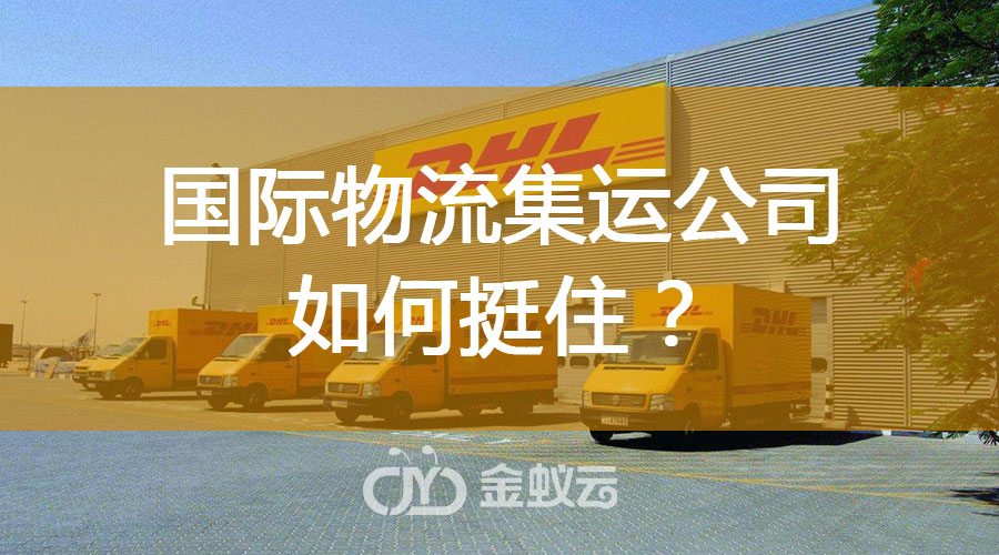 國(guó)際物流集運(yùn)公司如何挺住？