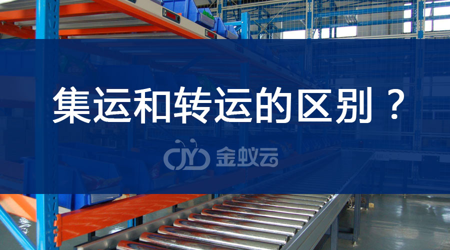 最強(qiáng)分析：集運(yùn)和轉(zhuǎn)運(yùn)的區(qū)別？