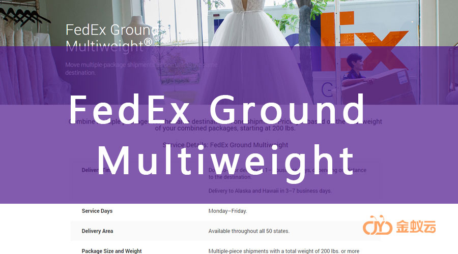 FedEx Multiweight 是什么？