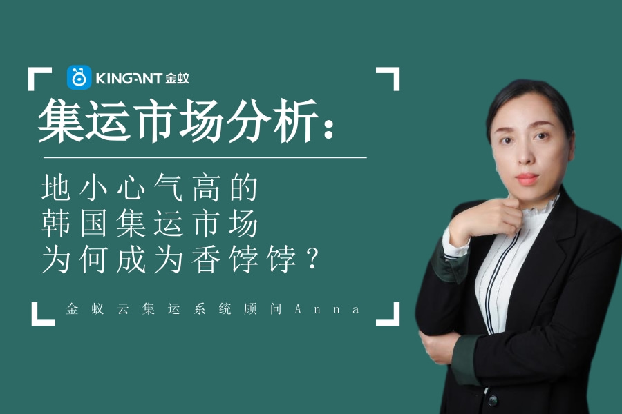 集運市場分析：地小心氣高的韓國集運市場為何成為香餑餑？