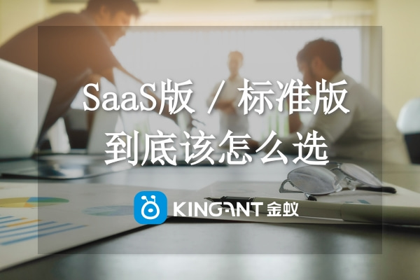 跨境系統(tǒng)有預(yù)算，SaaS版（云版）和標準版我該選哪個？